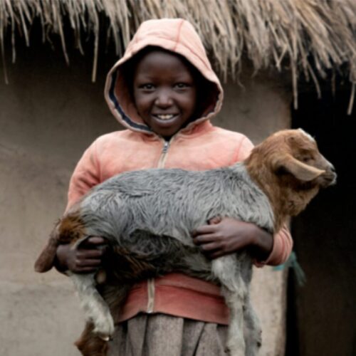 Untitled design - 2025-12-14T131400.079